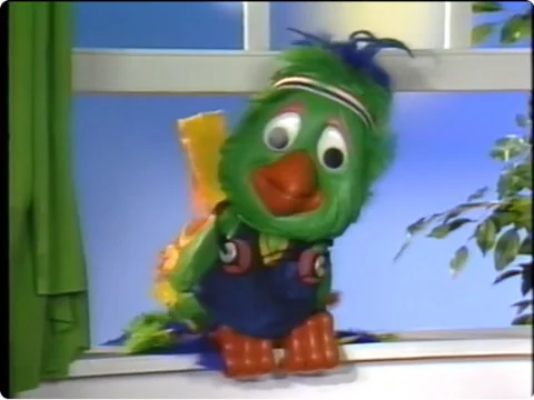 Roger the parrot