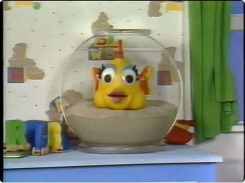 Penelope the goldfish