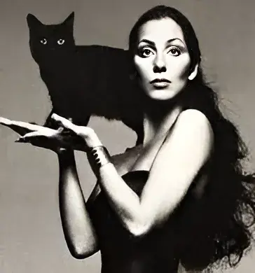Cher (Dark Lady Era)