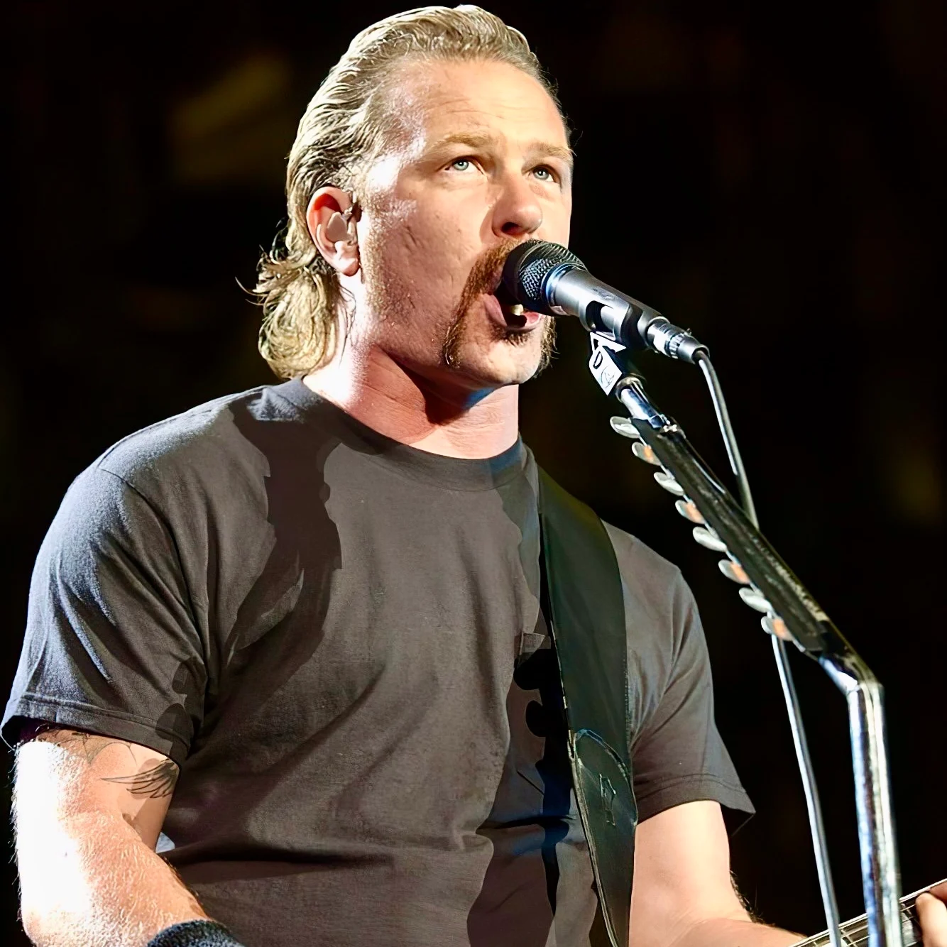 James Hetfield (St. Anger)
