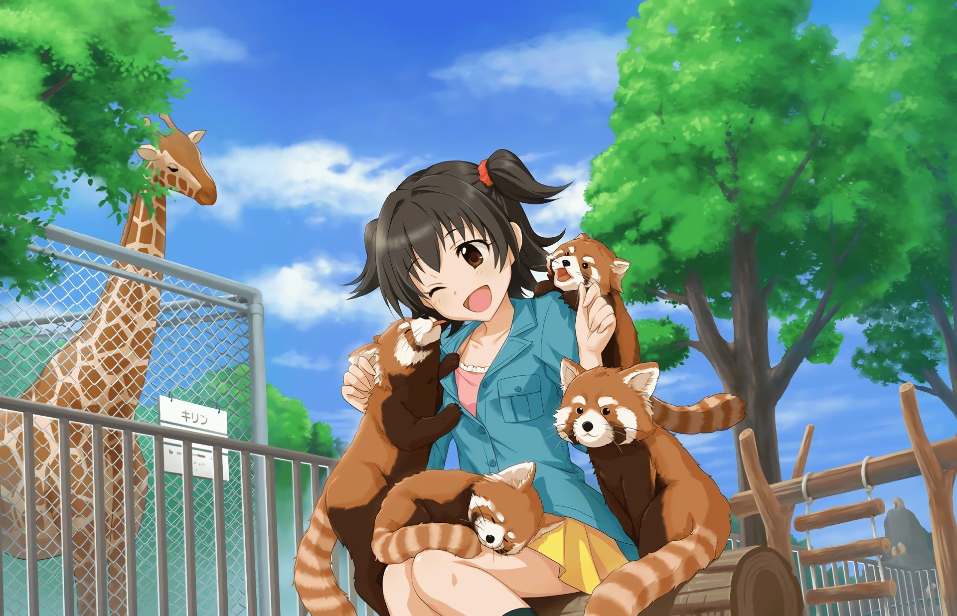 Miria Akagi (CV: Tomoyo Kurosawa)