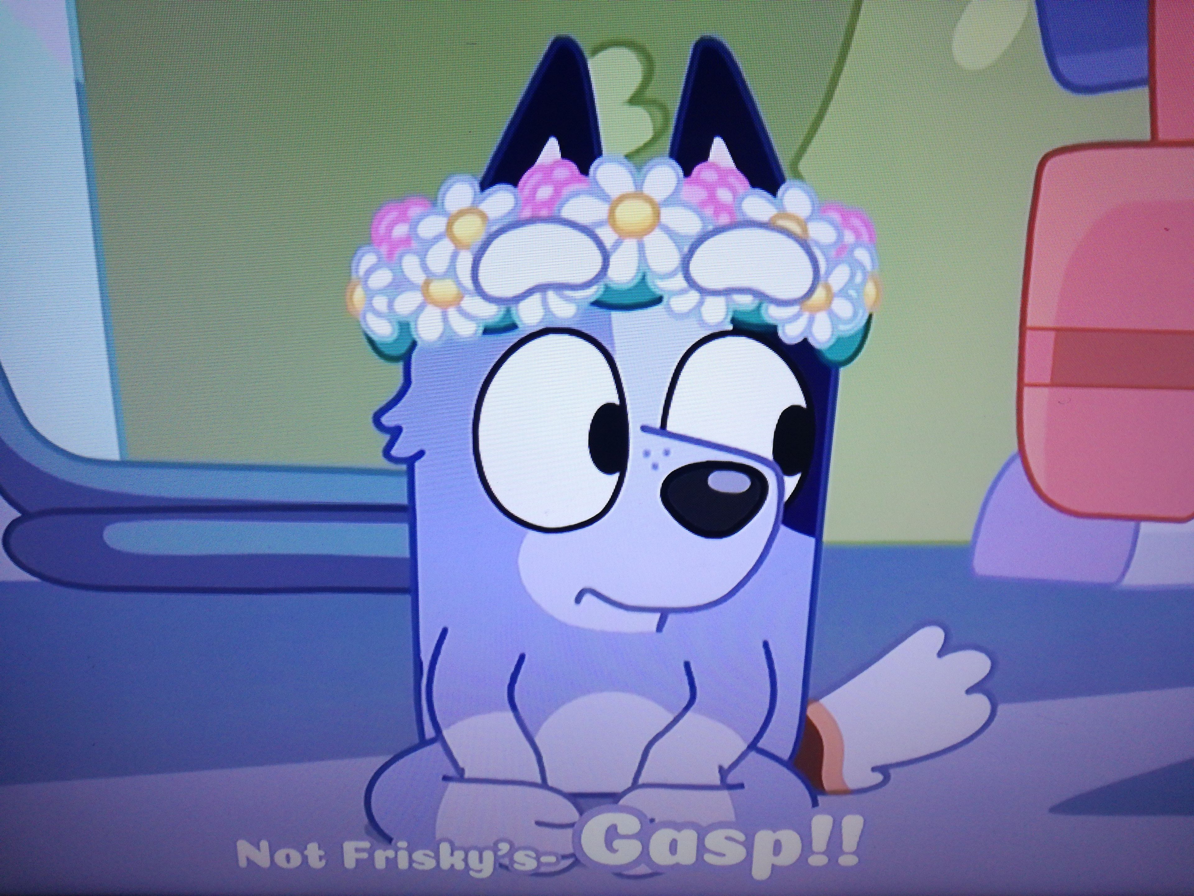 Socks Castellano(Bluey)