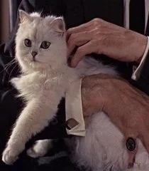 Ernst Stavro Blofeld (From Russia With Love) (Eric Pohlmann)