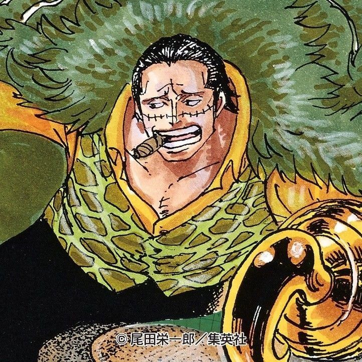 Crocodile one piece 