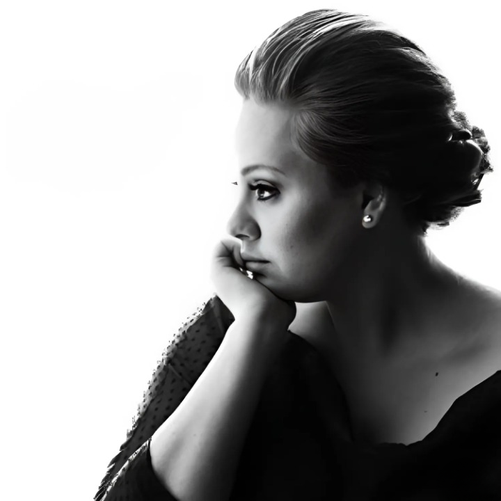 Adele (Someone Like You Single)