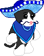 Gato Loco (Webkinz: Candy Bash)