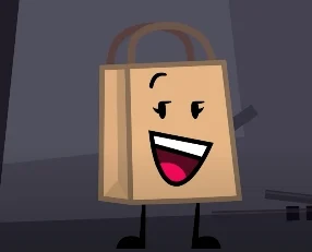 Bag PPT2