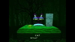 cat bad parenting