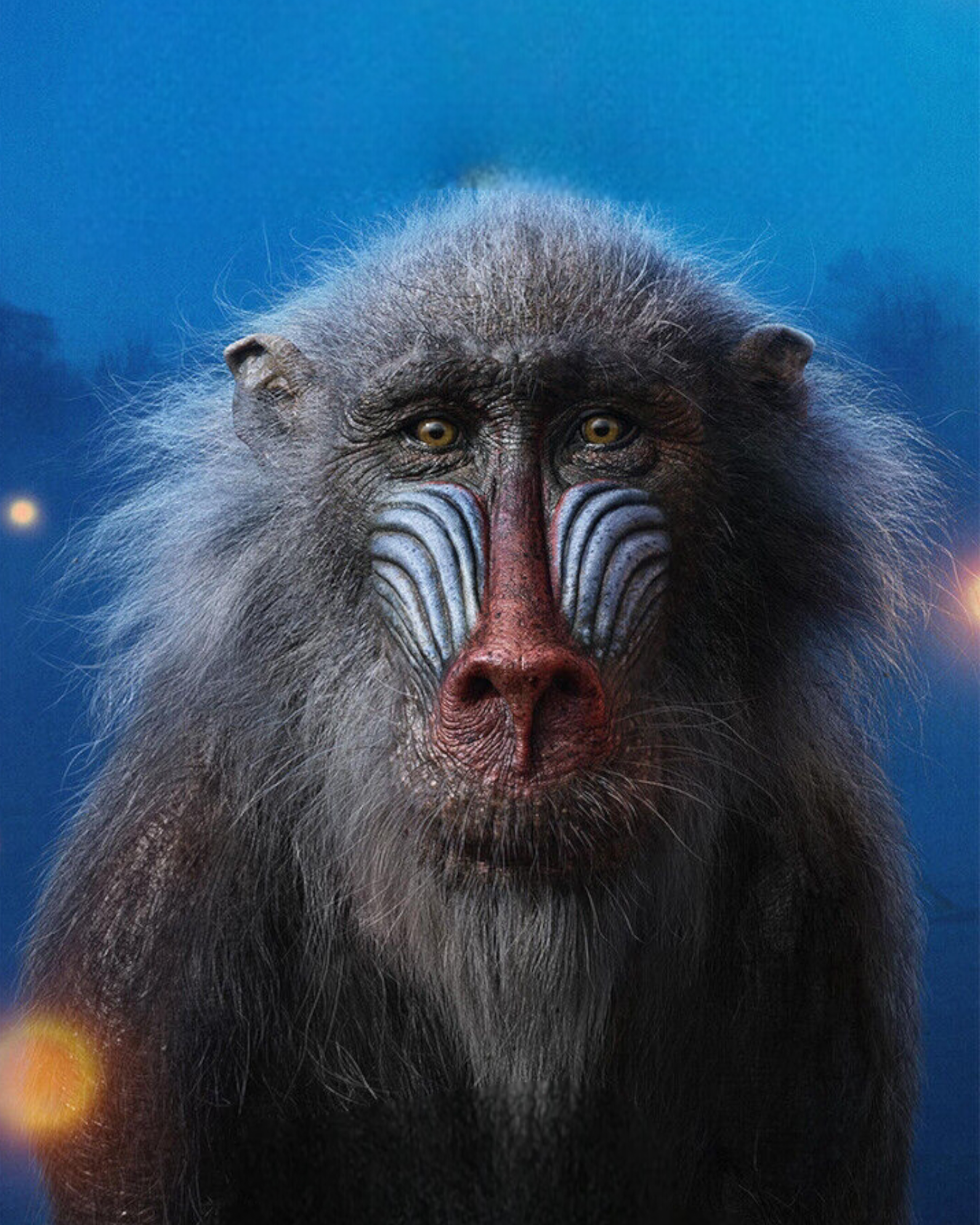 Rafiki (The Lion King) (2019)