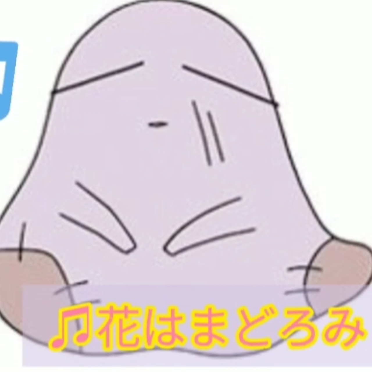 貧ちゃん fan voice