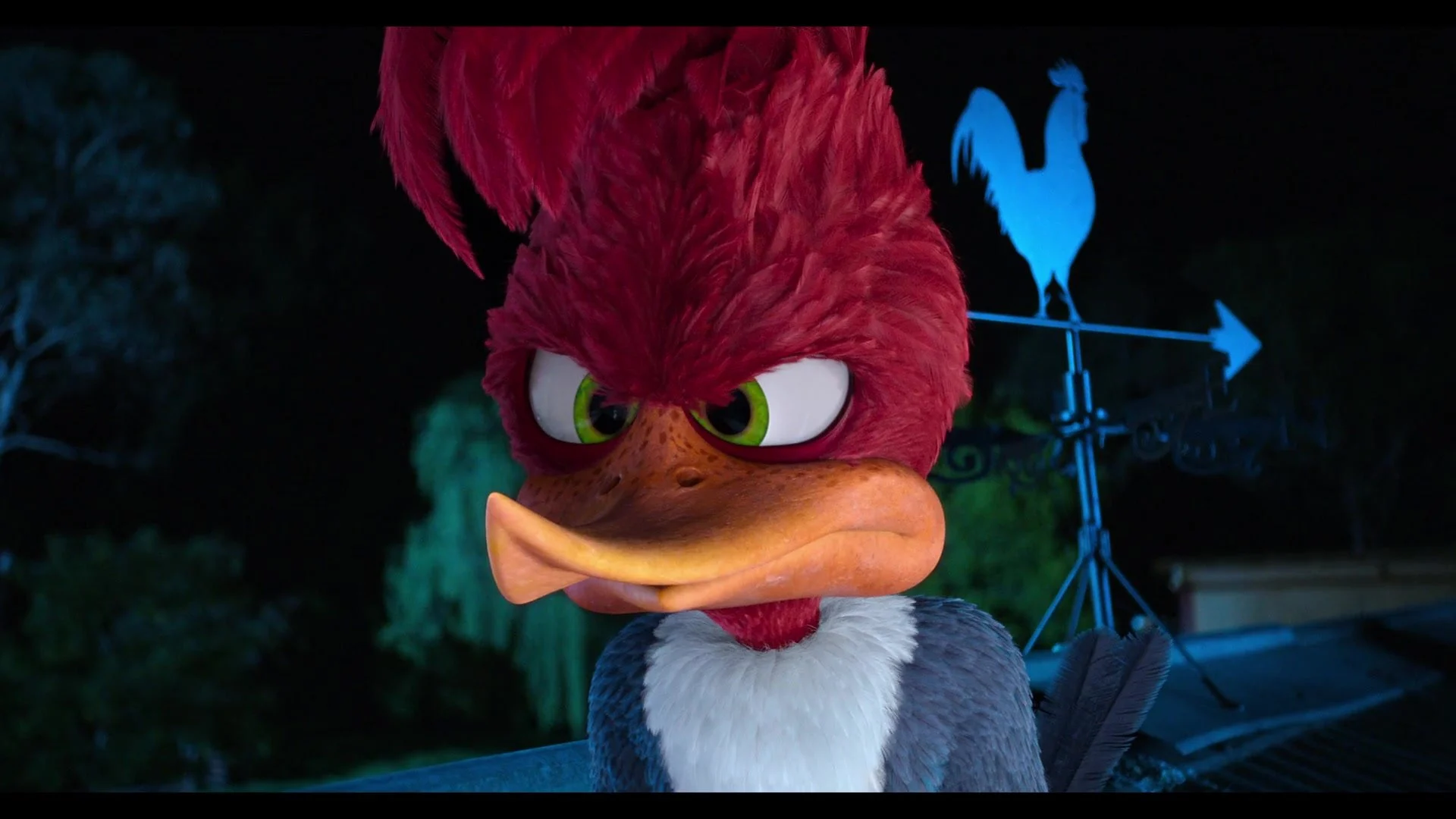 Woody Woodpecker/ El Pájaro Loco (Jesús Guzmán, RENOVADO)