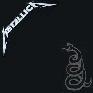 Black Album guitar