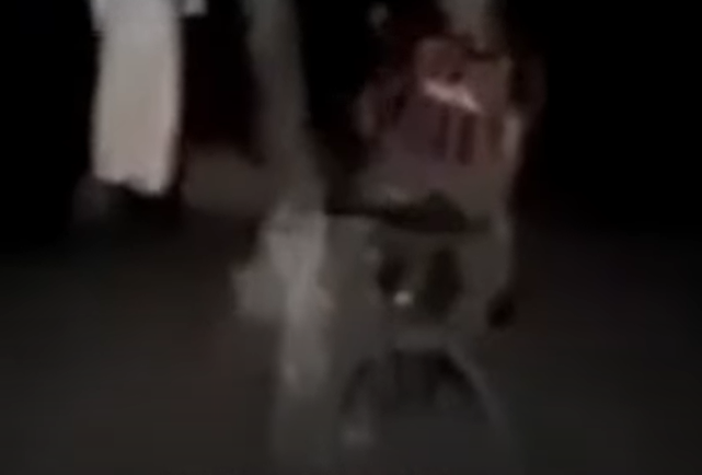 oye loco que es lo que se ve ahi detras del palo