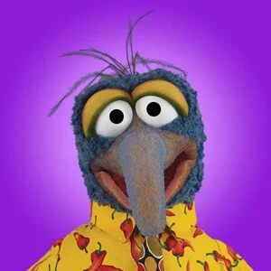 Gonzo muppet vision