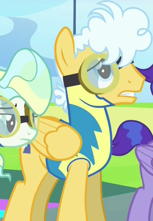Mountain Haze (My Little Pony - Friendship Is Magic)