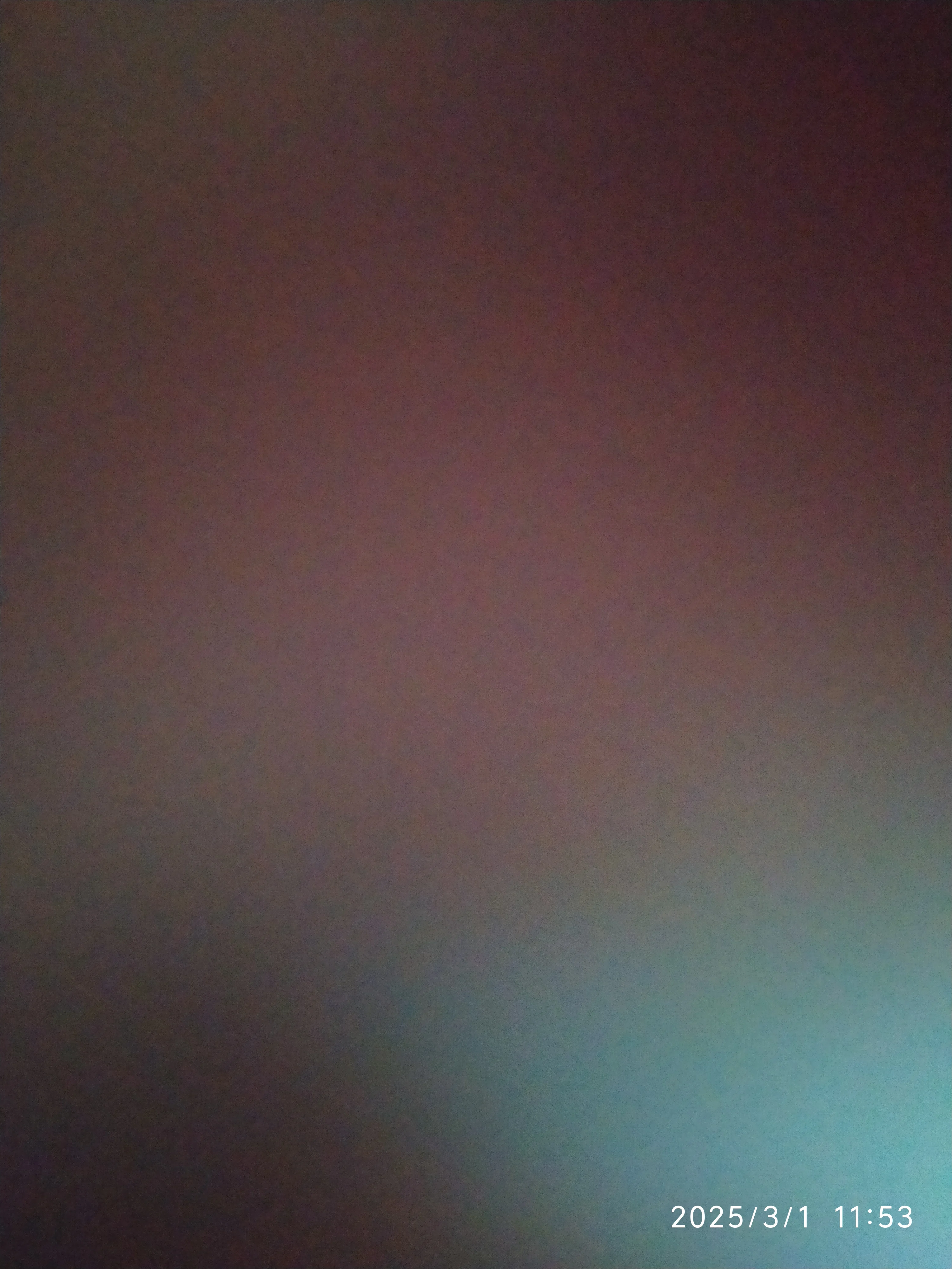 ليث حدبة