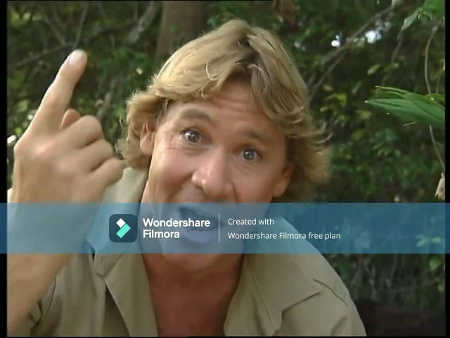Steve Irwin (The Wiggles) (Wiggly Safari)