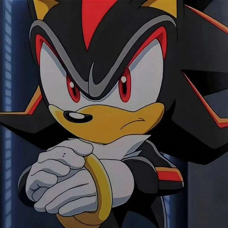 Sombra / Shadow El Erizo [Sonic X Temp. 1 - 2] (Jorge Lillo)