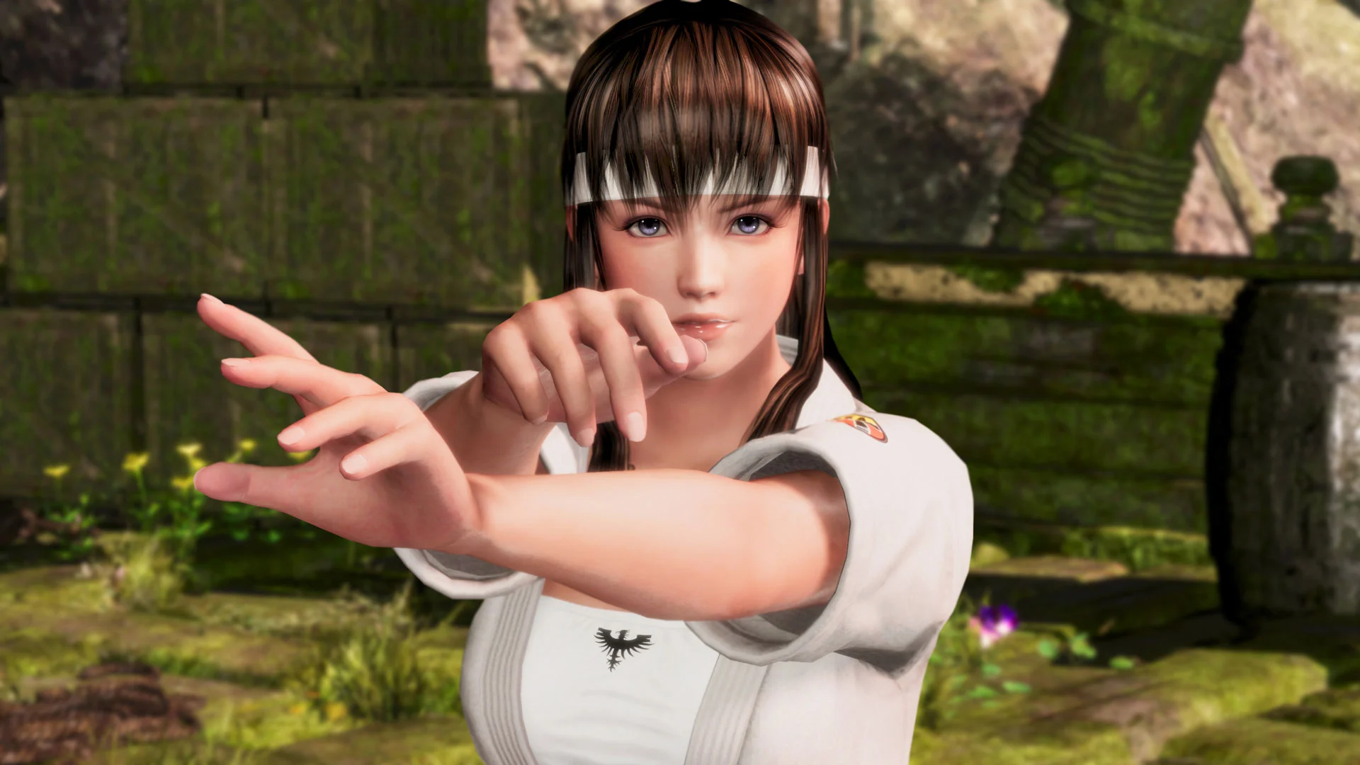 Hitomi [Dead or Alive Dimensions-present] (English)