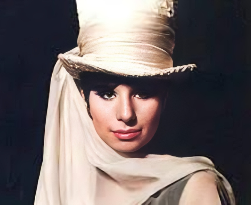 Barbra Streisand (My Name Is Barbra Two Era)