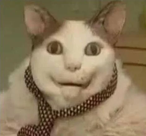 Kush Cat
