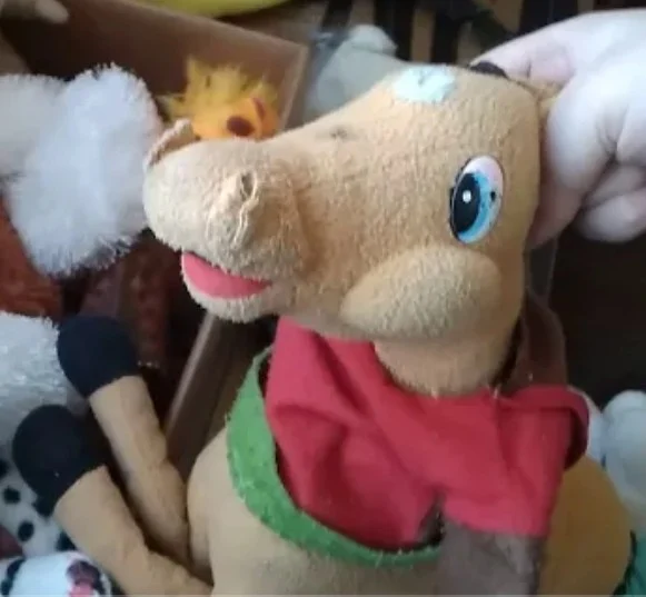 Koal The Horse