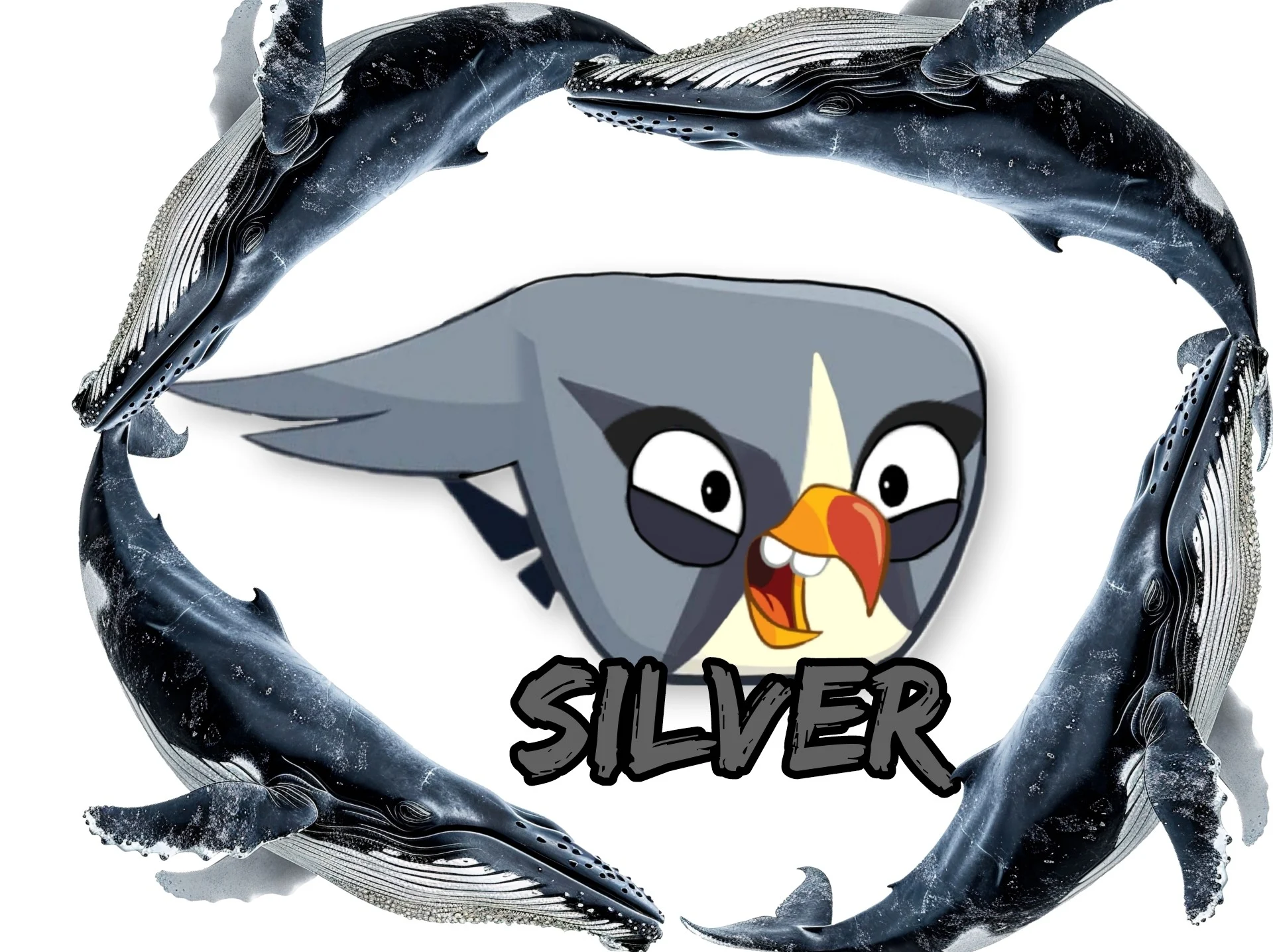 Silver (Angry birds)
