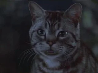 Monty The Mouth (Stuart Little/Stuart Little 2)