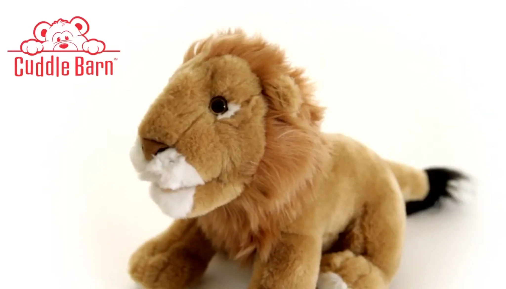 Leon the Lion (Zoocational)