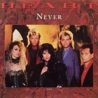 Ann Wilson (Never Single)