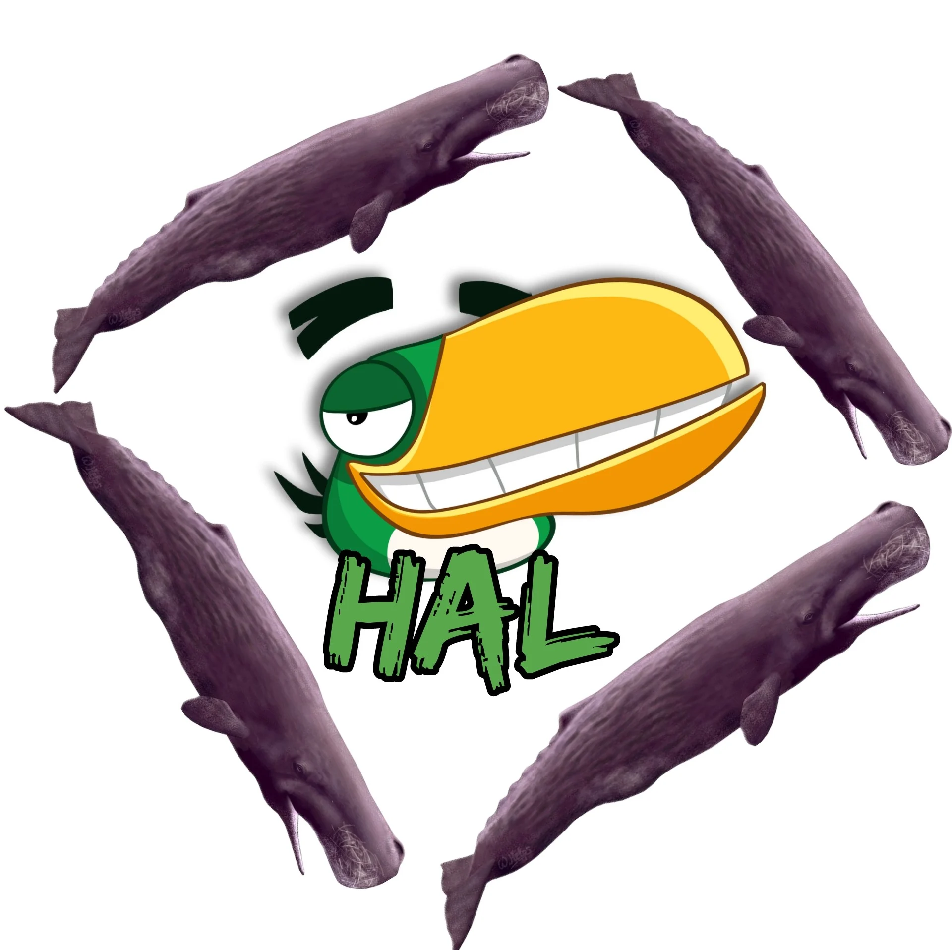 Hal (Angry birds)