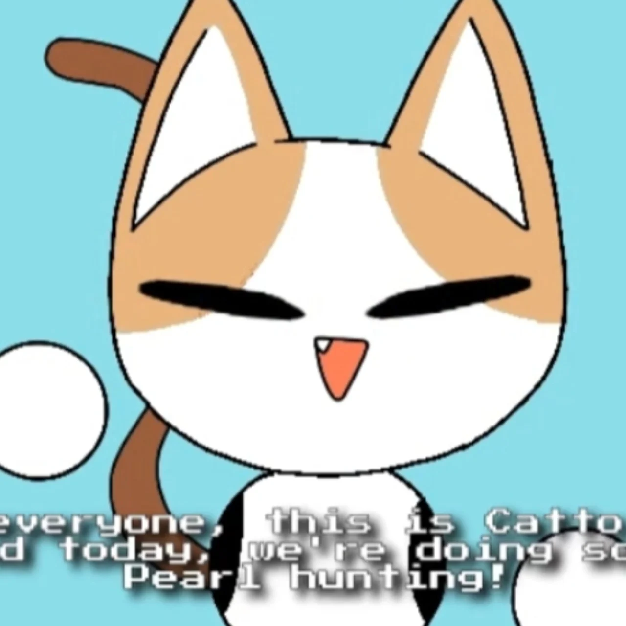 Catto boi anime 2024