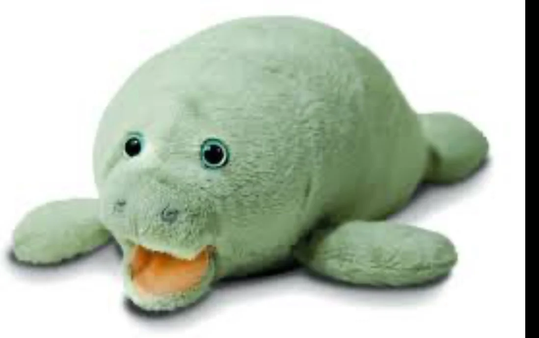 Manny the Manatee (Zoocational)