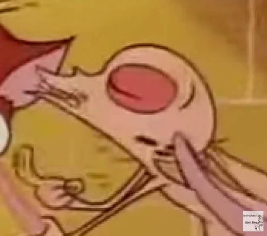 Ren Hoek (Ren y Stimpy) Español Latino