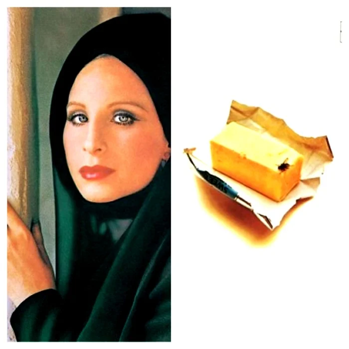 Barbra Streisand (The Way We Were + Butterfly Eras)