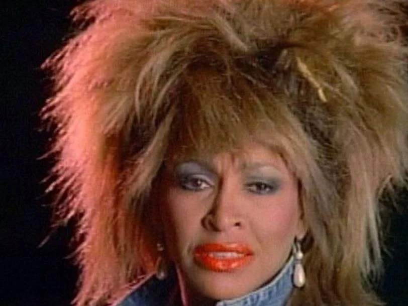 Tina Turner (What's Love Got To Do With It Single)