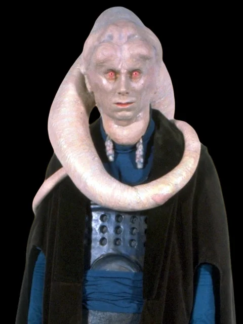 Bib Fortuna