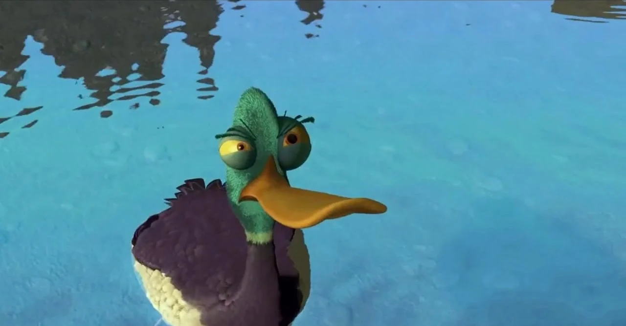 Serge (open season)