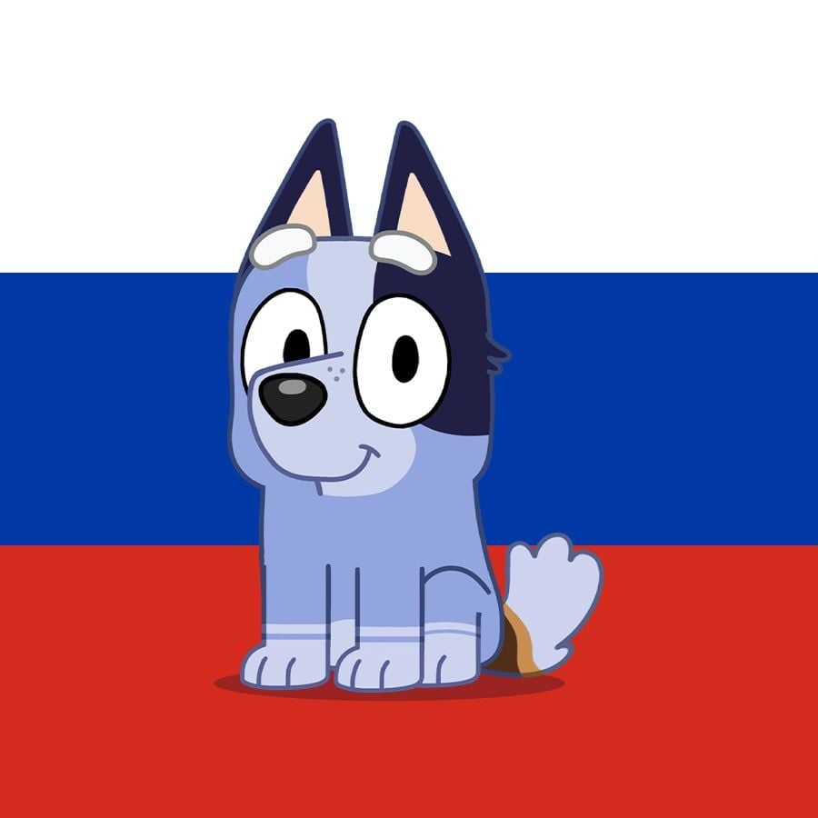 Socks Heeler (Bluey Russian dub)