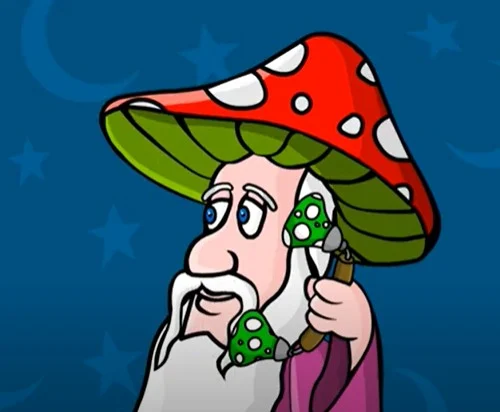 Wizard (Mellow Mushroom) (Matt Chapman)