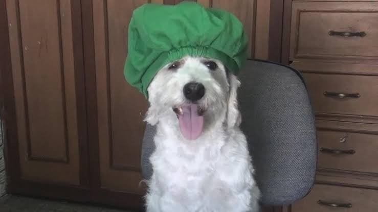 Curly - Fernanfloo