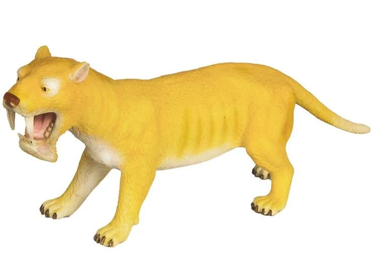 Cleo The Thylacosmilus