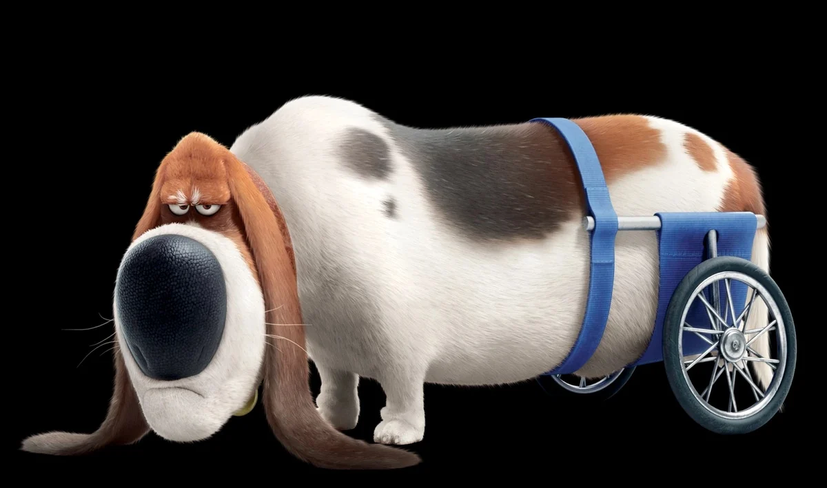 Pops (secret life of pets)