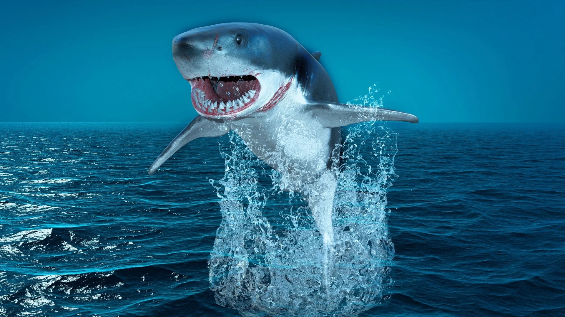 Great white shark