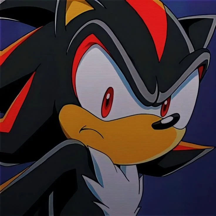 Sombra / Shadow El Erizo [Sonic X Temp. 3] (Juan Pablo Suárez)