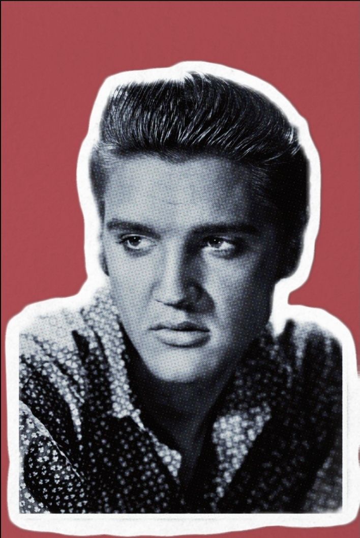 The Best Elvis Models