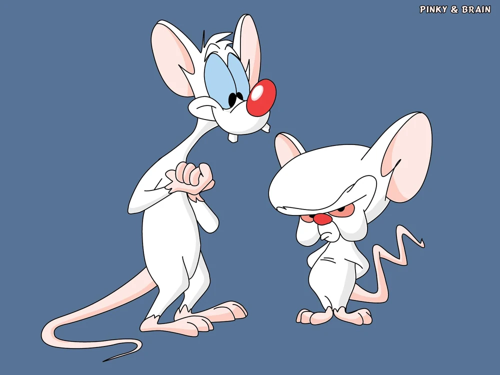 PINKY AND THE BRAIN