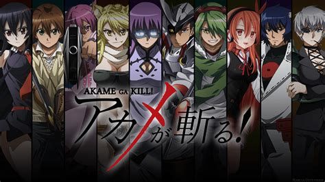 akame ga kill model collection 