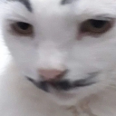 trainboi_