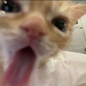 BabyYoda